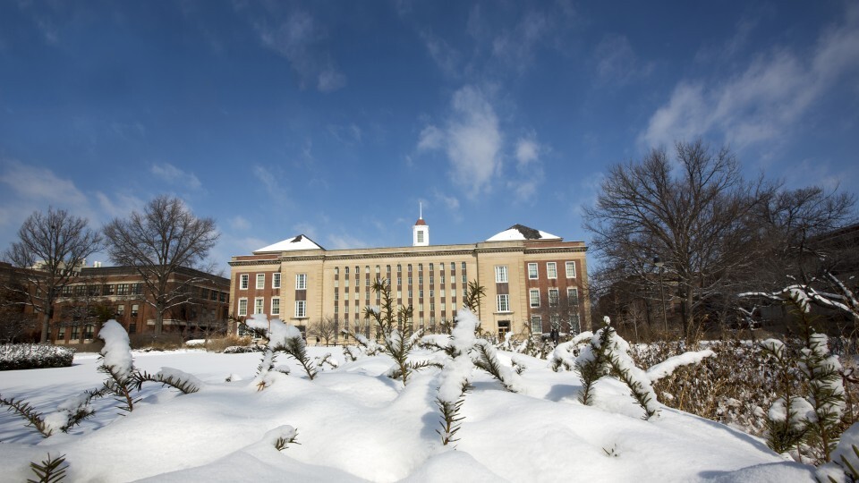 Love Library in snow
