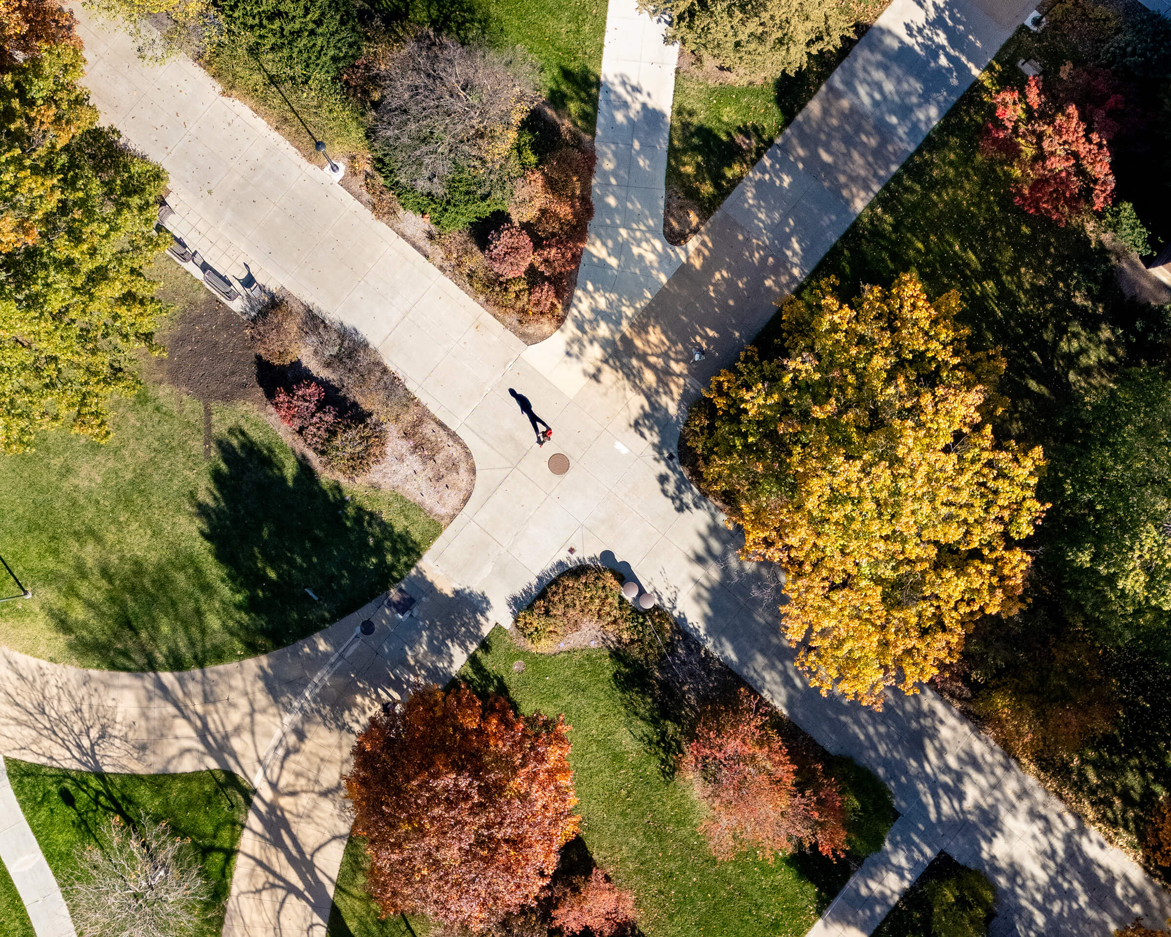 Aerial view of student walking across campus in the fall