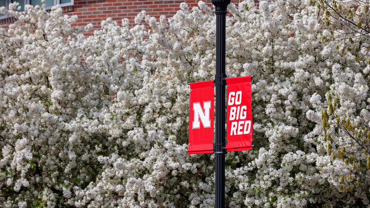 Go Big Red banner hanging by blooming trees near Student Union