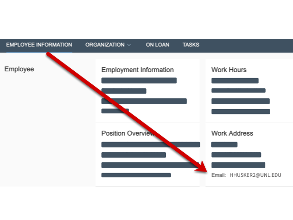 screenshot of My Employment showing where email address is.