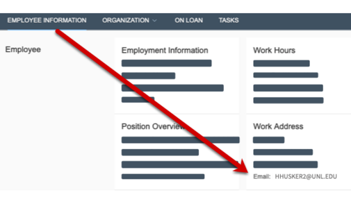 screenshot of My Employment showing where email address is.