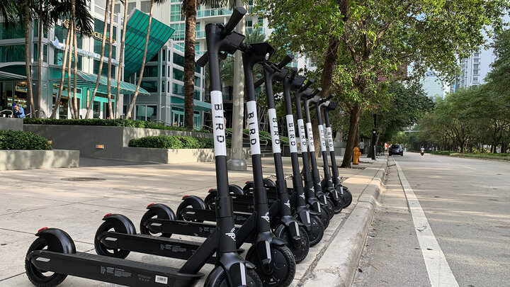 Bird scooters