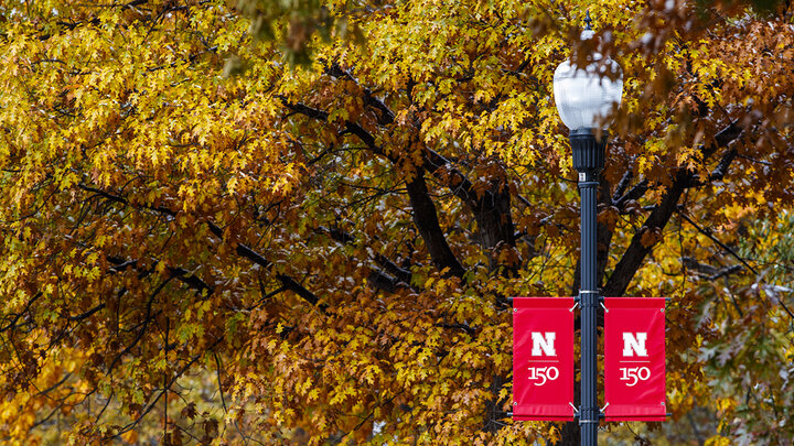 Campus leaves