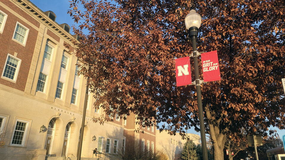 Autumn view of tree and lamp post in front of building