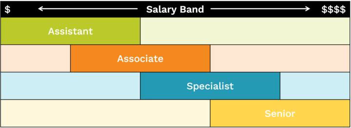 Job families have four zones: Assistant, Associate, Specialist, and Senior